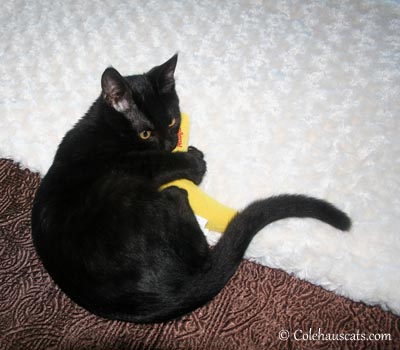 Sweet Olivia and her nip banana.