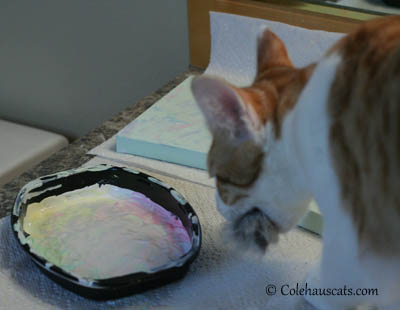 Quint, the painter, takes Mr. Mousie and leaves his studio - 2013 © Colehaus Cats