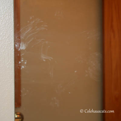 The Bathroom Mirror. How we know when Quint is ready to paint - 2013 © Colehaus Cats