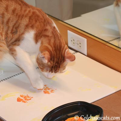 Quint begins his summer painting - 2013 © Colehaus Cats