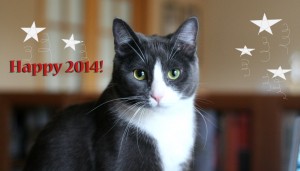 From all of us to all of  you, Happy 2014!  - 2014 © Colehaus Cats 