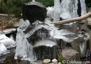 Our ice fountain - 2013 © Colehaus Cats