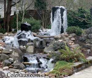 Winter comes to our fountain - 2013 © Colehaus Cats