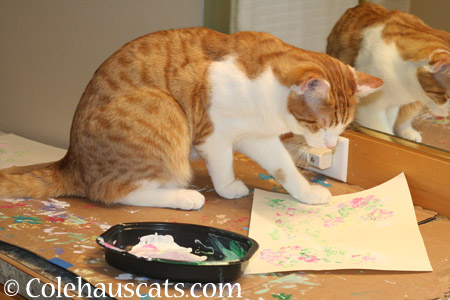 Quint at work - 2014 © Colehaus Cats