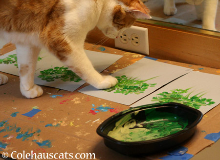 Quint painting leaves - 2014 © Colehaus Cats