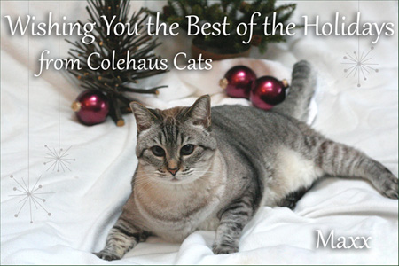 Maxx's Christmas Card  - 2014 © Colehaus Cats