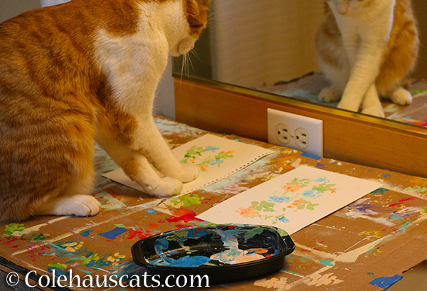 Quint using a new criss-cross paw painting technique - 2015 © Colehauscats.com