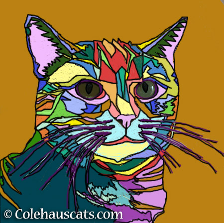 Ruby's pretty colors - 2015 © Colehauscats.com