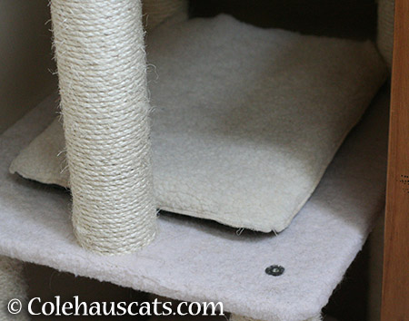 Add warm mat to Ruby's tower - 2015 © Colehauscats.com