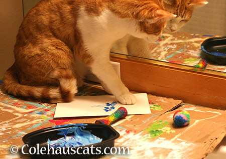 Quint paints summer - 2015 © Colehauscats.com