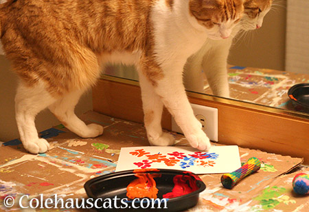 Adding red and orange - 2015 © Colehauscats.com