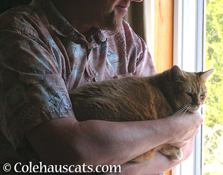 MamaCat Zuzu and her Dad - 2015 © Colehauscats.com