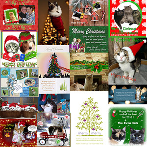 Thank you for all your Christmas cards! - 2015 © Colehauscats.com