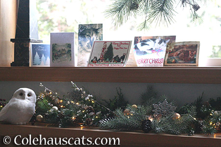 The Colehaus Holiday mantel - 2015 © Colehauscats.com