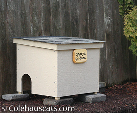 Spitty's Place feral shelter - 2015-2016 © Colehauscats.com