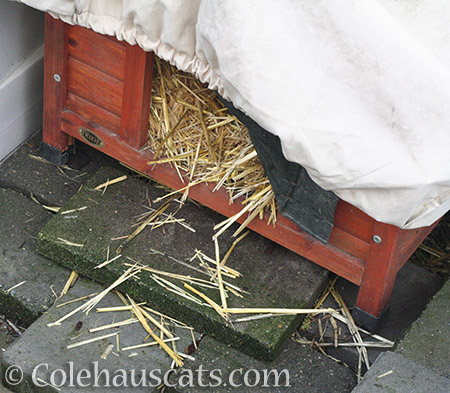 Fresh straw for all the houses! - 2016 © Colehauscats.com