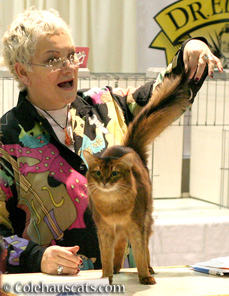 This judge liked Summer at the Int'l Cat Show in Portland - 2016 © Colehauscats.com