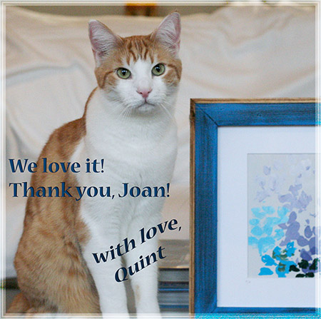 Thank you, Joan! - 2016 © Colehauscats.com