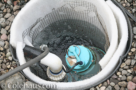 Fountain pump well - 2016 © Colehaus.com and Colehauscats.com