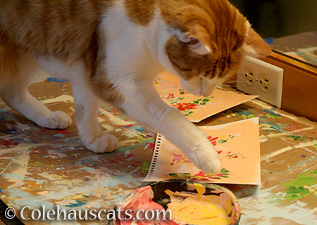 Quint's Two-Paw Paint Method - 2016 © Colehauscats.com