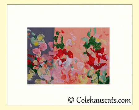 Quint's Duo-Color Summer Lilies - 2016 © Colehauscats.com