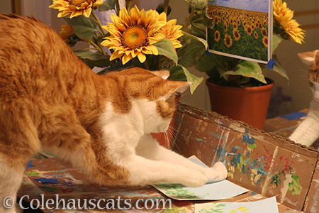 Quint painting Sunflowers - 2016 © Colehauscats.com