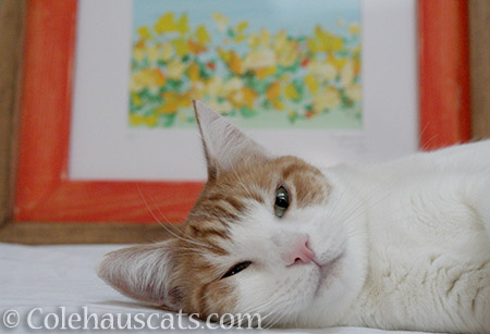 Quint with his Sunflowers painting for Sunny - 2016 © Colehauscats.com