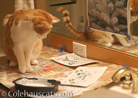 Quint ponders his next painting step - 2016 © Colehauscats.com