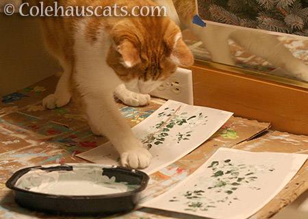 Quint painting his Snow and Cedars - 2016 © Colehauscats.com