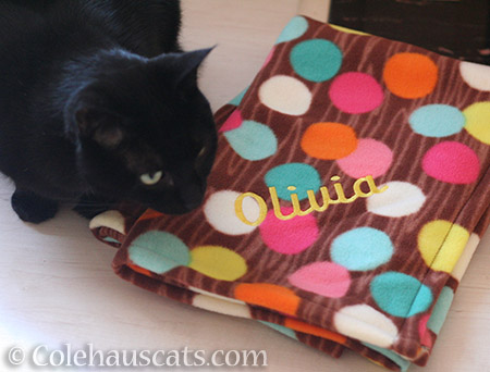 Olivia's blanket - © Colehauscats.com