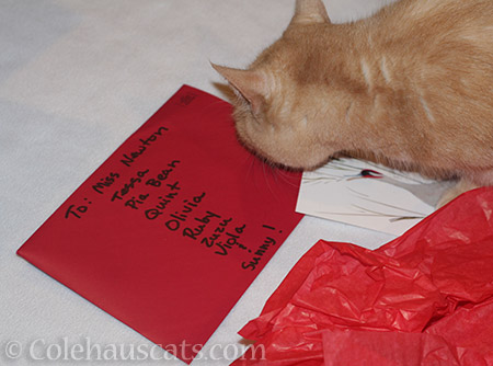 Secret Paws card to the Colehaus Cats - © Colehauscats.com