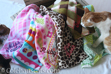 Personalized kitty blankets from SouthwestStitches - © Colehauscats.com