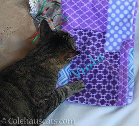 Viola's blanket - © Colehauscats.com