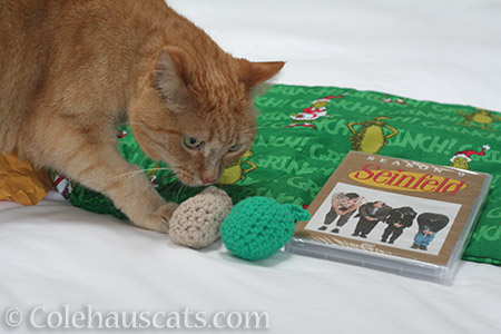 Festivus gifts for me? - © Colehauscats.com