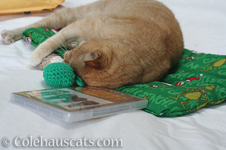 Going for the crocheted drumstick - © Colehauscats.com