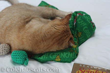 Loving the Grinchy mat - © Colehauscats.com