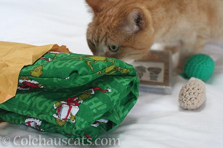 A wonderful Festivus package - © Colehauscats.com