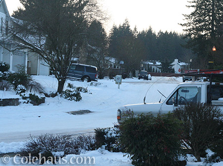 Snow Days continue - © Colehaus.com