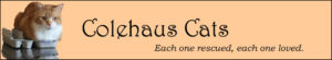 Original Colehaus Cats blog header featuring angel Seth - © Colehauscats.com