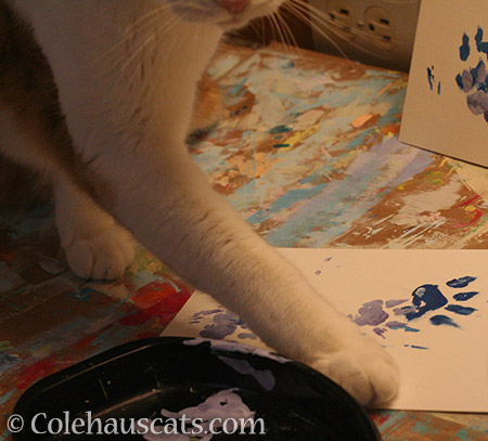 Quint painting spring - © Colehauscats.com