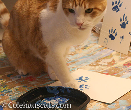 Quint is painting - © Colehauscats.com