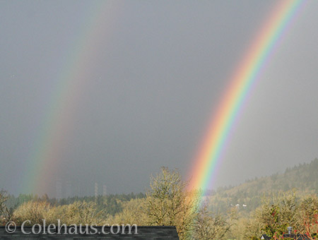 Double rainbow from a back window - © Colehaus.com