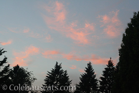 August sunset - © Colehauscats.com