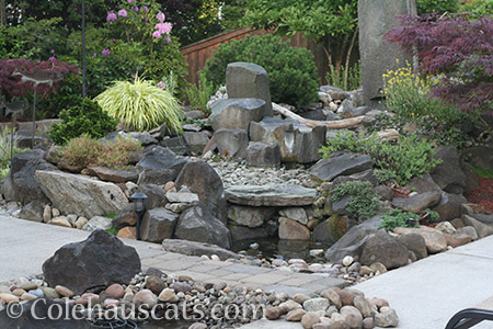 Dead fountain - © Colehauscats.com