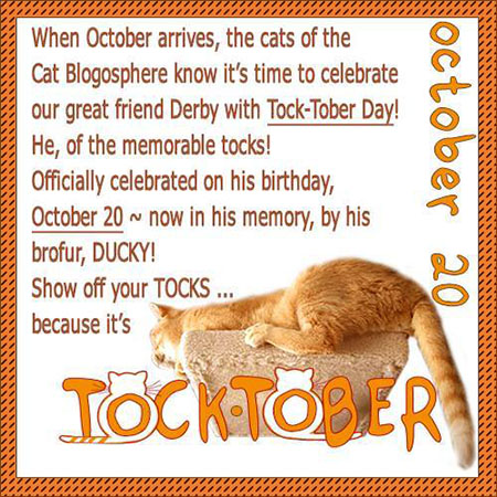 Finally, it's Tocktober!