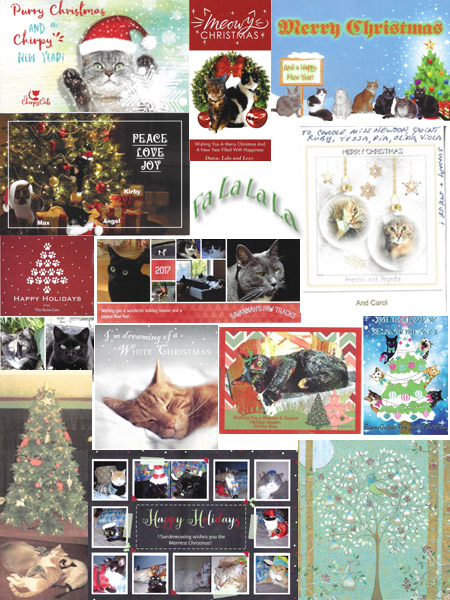 Beautiful Christmas Cards 2017 - © Colehauscats.com