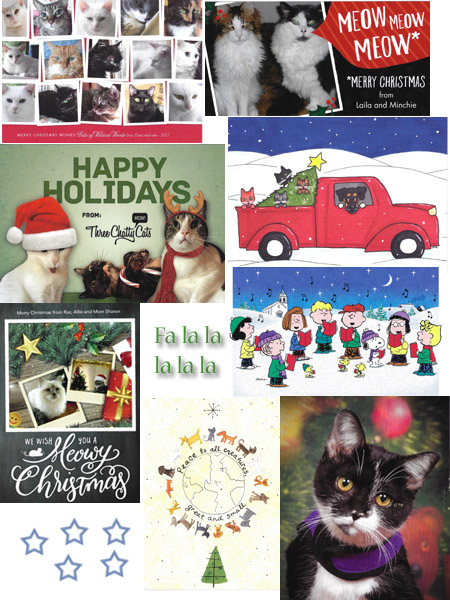 More beautiful Christmas Cards 2017 - © Colehauscats.com