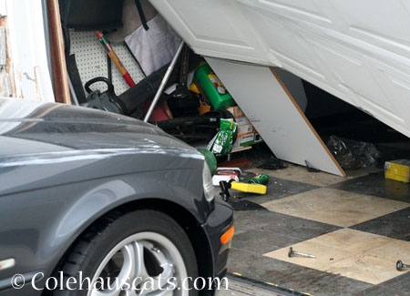 Ex-garage door, cabinet, house foundation, and car - © Colehauscats.com