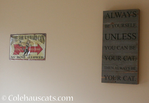 Cat Den signs - © Colehauscats.com