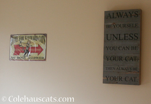 Cat Den signs - © Colehauscats.com
